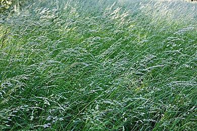 第三方厂商加速研发磁吸摇杆 欲根治Switch2摇杆漂移顽疾